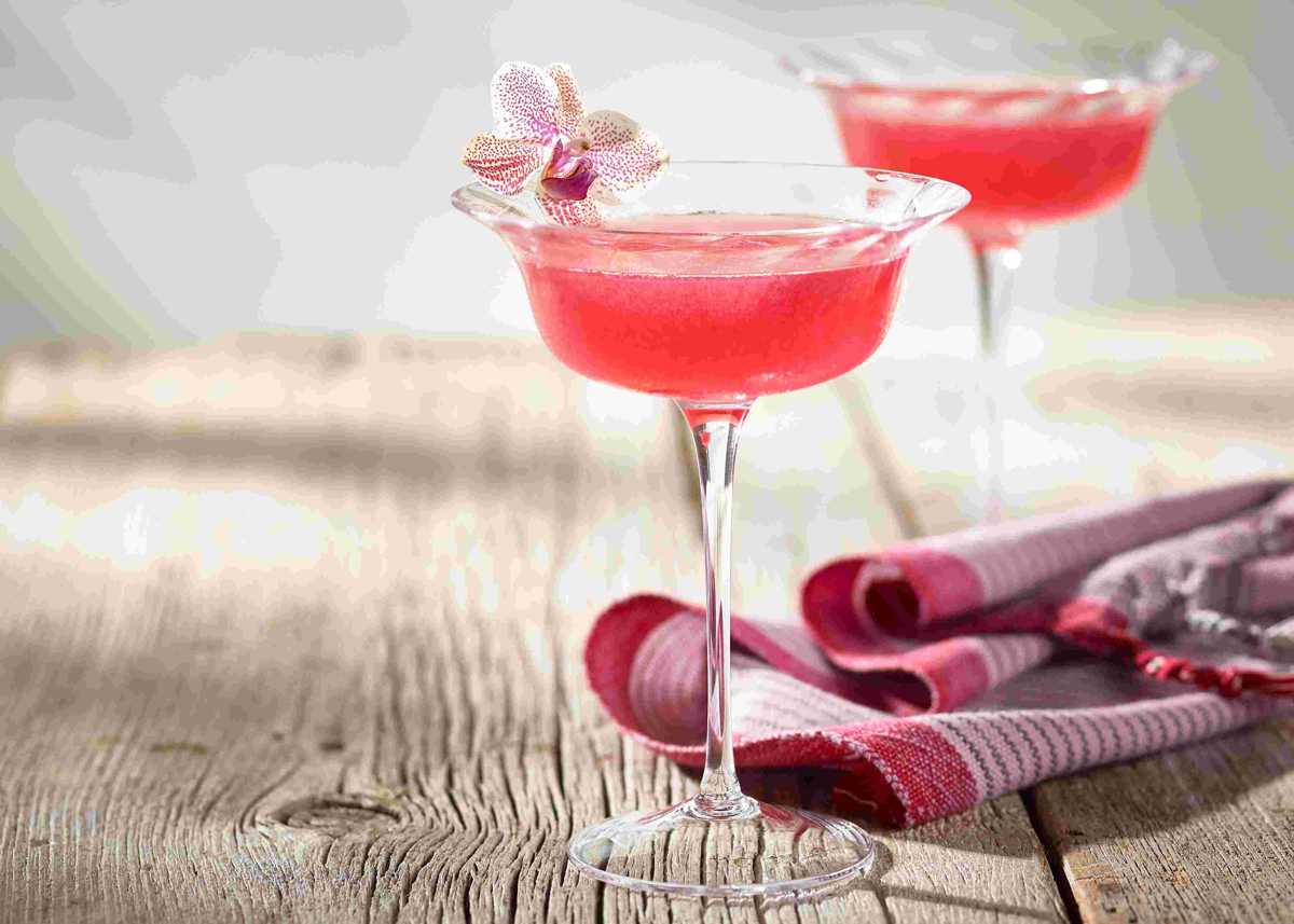Hibiscus Daiquiri Recipe